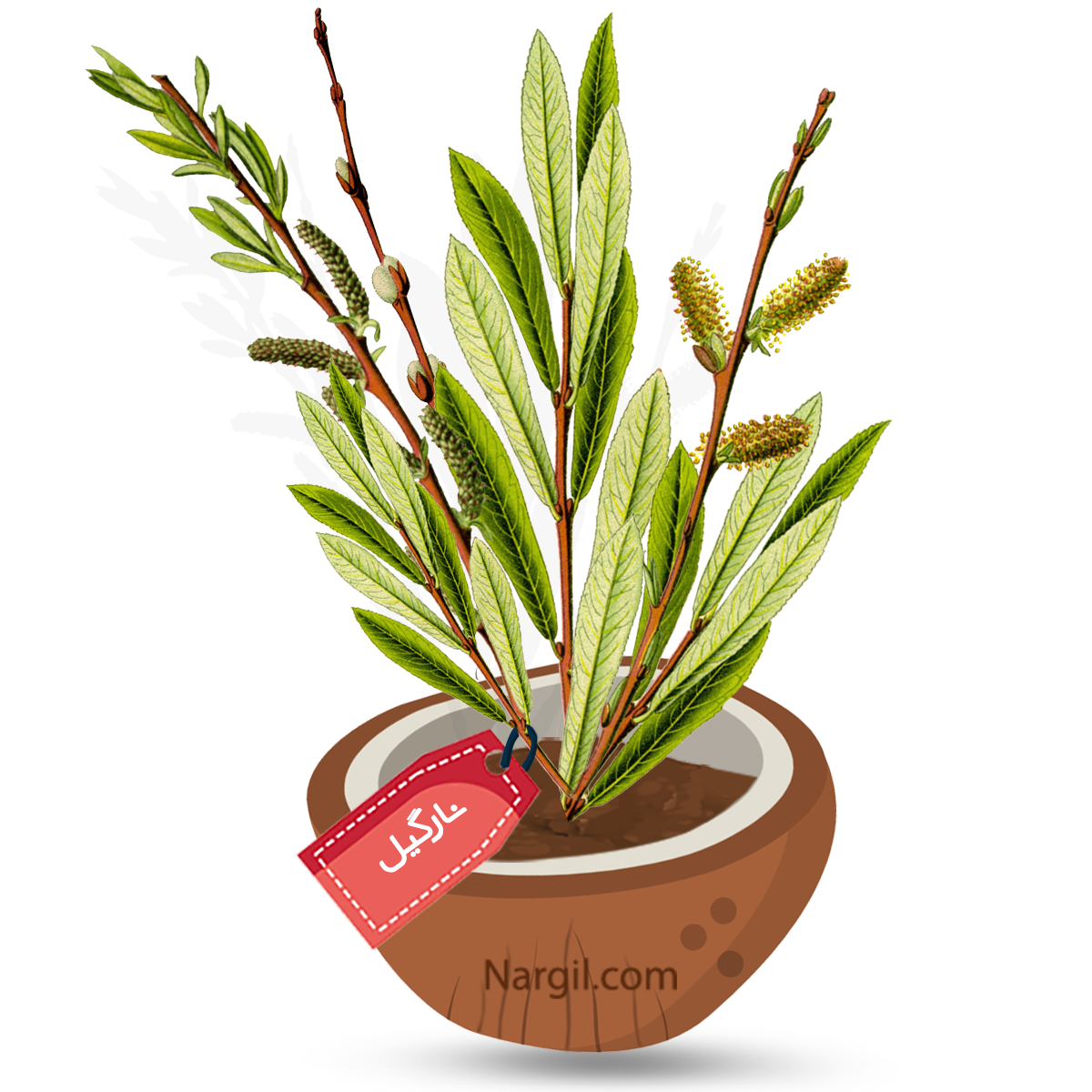  Nargil - purple willow